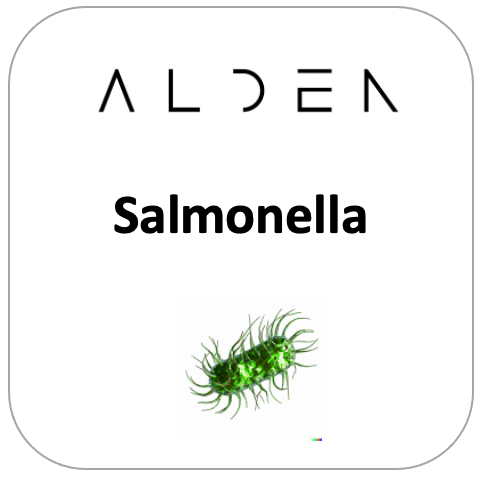 Salmonella