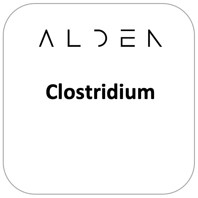 Clostridium