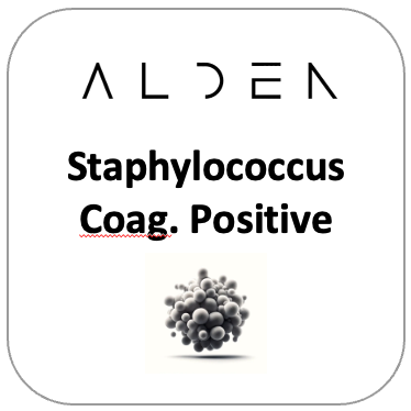 Staphylococcus (Coag. Positive)