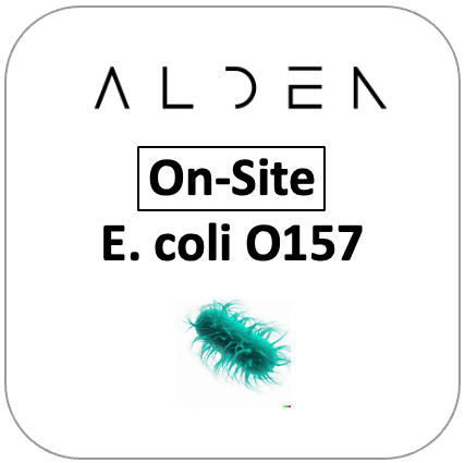 E. coli O157 On-site